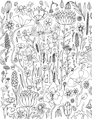 Spring Flower Adult Coloring Page