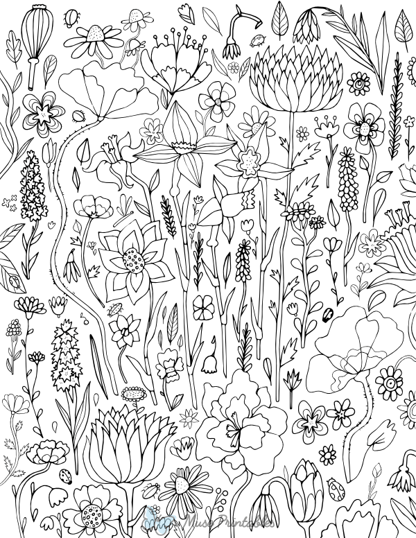 Spring Flower Adult Coloring Page