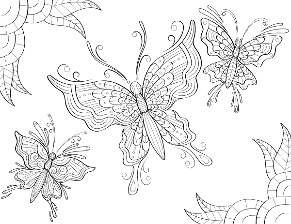 Three Butterflies Adult Coloring Page