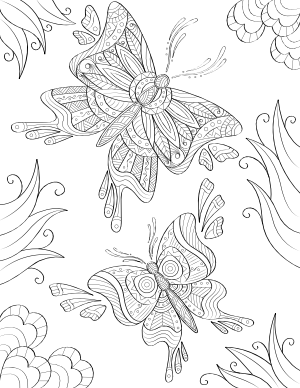 Two Butterflies Adult Coloring Page
