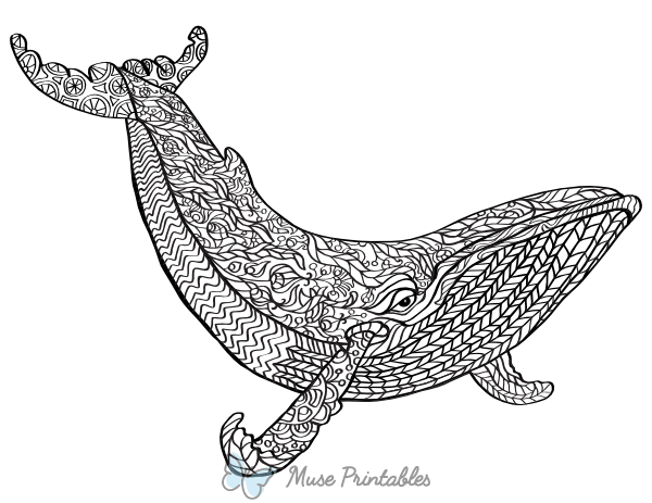 Whale Adult Coloring Page