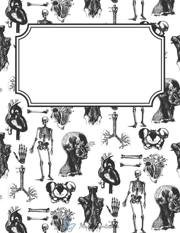 Anatomy Binder Cover Printable Printable World Holiday