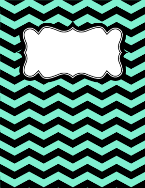 Mint Green and Black Chevron Binder Cover