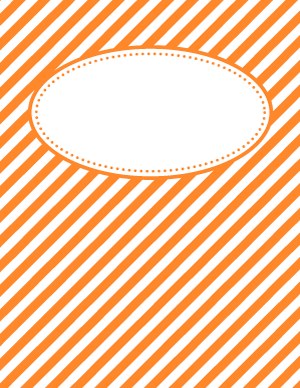 Orange Diagonal Stripe Binder Cover