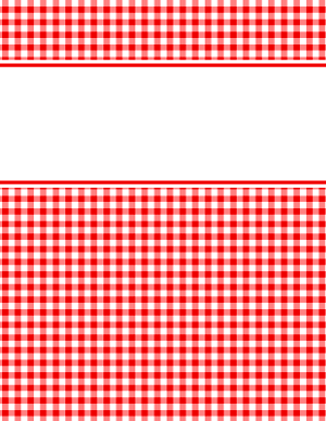 Red and White Gingham Binder Cover