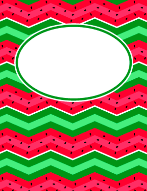 Watermelon Chevron Binder Cover