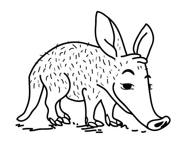 Aardvark Coloring Page