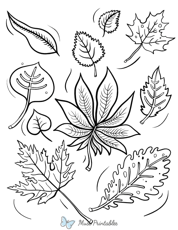 Autumn Leaves Coloring Page