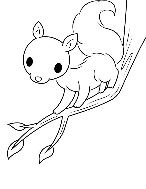 Download Printable Baby Squirrel On A Branch Coloring Page