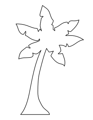 Blank Palm Tree Coloring Page