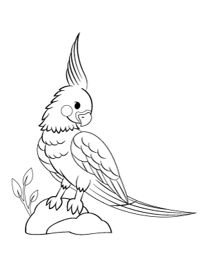 Cockatiel Standing On Rocks Coloring Page