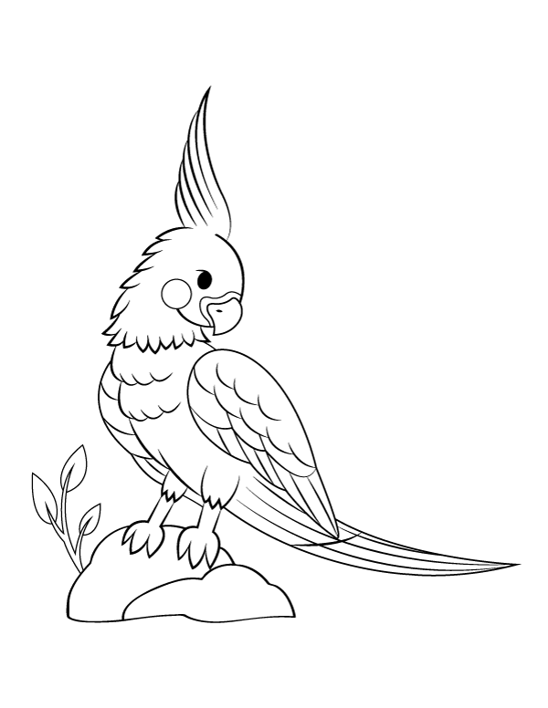 Cockatiel Standing On Rocks Coloring Page
