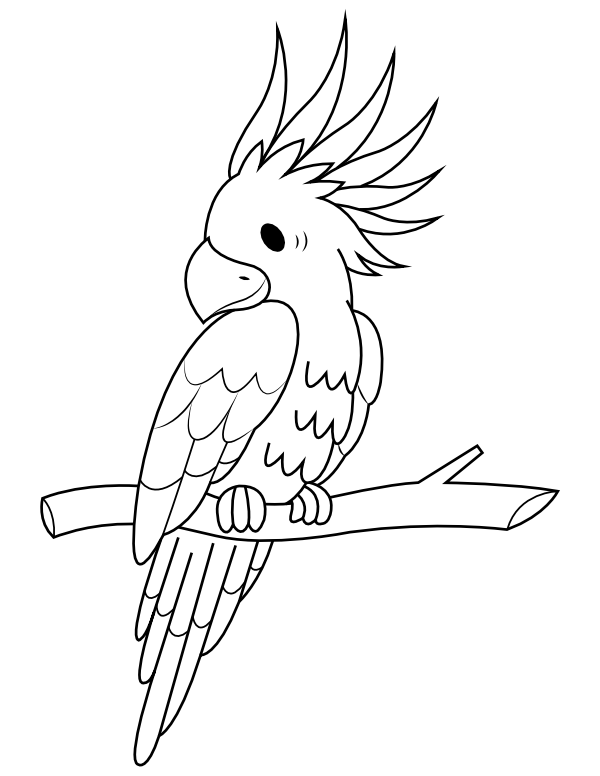 Printable Cockatoo On A Branch Coloring Page