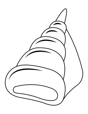 Conch Coloring Page