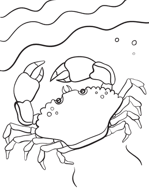 Crab on Beach Coloring Page