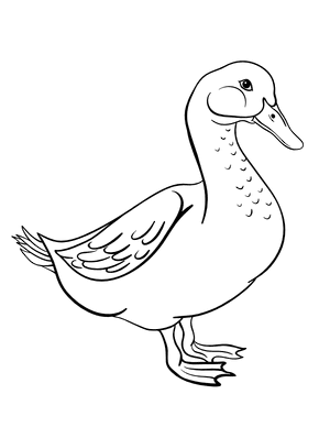 Cute Goose Coloring Page
