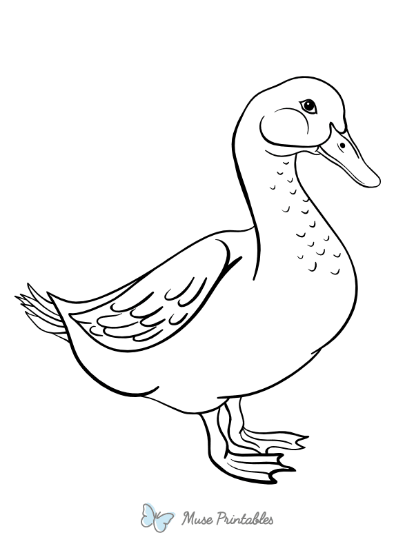 Cute Goose Coloring Page