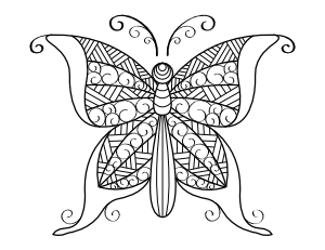 Detailed Butterfly Coloring Page