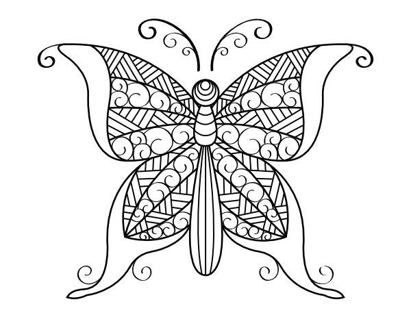Detailed Butterfly Coloring Page