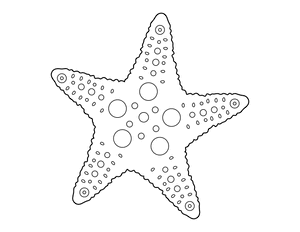 Detailed Starfish Coloring Page