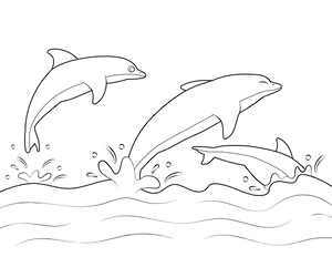 Dolphins Leaping Out of Ocean Coloring Page