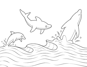 Dolphins Leaping Out of Water Coloring Page