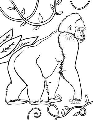 Gorilla and Foliage Coloring Page