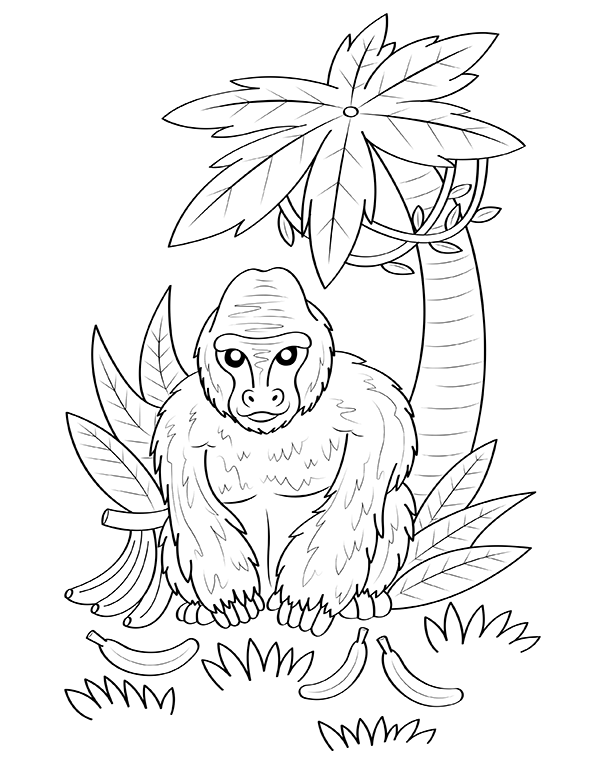 gorilla coloring page