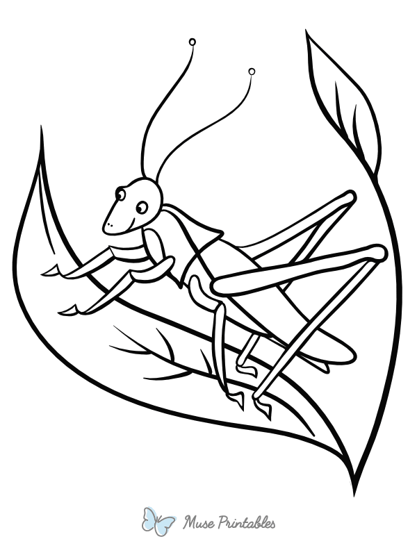 Grasshopper Coloring Page