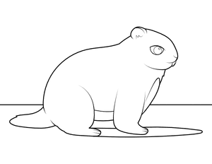 Groundhog and His Shadow Coloring Page