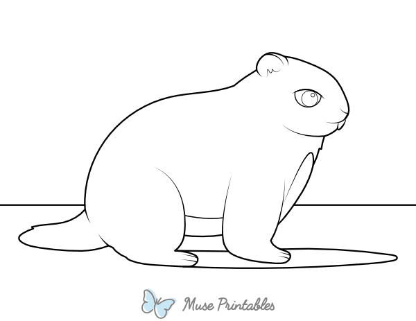 Groundhog and His Shadow Coloring Page