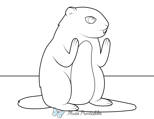 Groundhog and Its Shadow Coloring Page