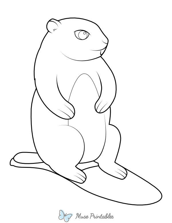 Groundhog and Shadow Coloring Page