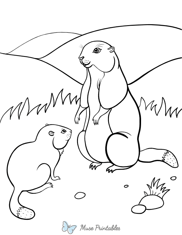 Groundhog Coloring Page