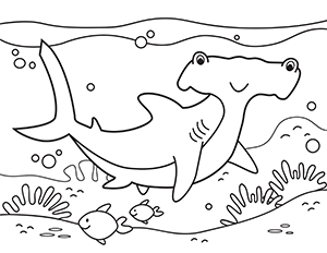 Hammerhead Shark Coloring Page