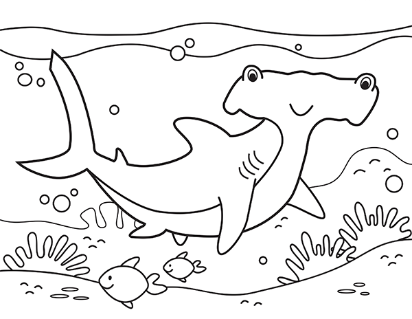 printable hammerhead shark coloring page