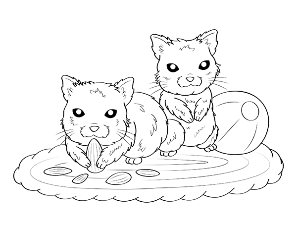 Hamster Coloring Page