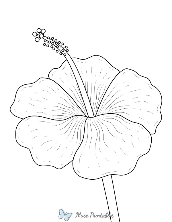 Hibiscus Coloring Page