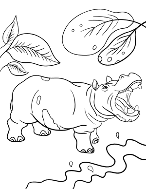 Hippopotamus Coloring Page