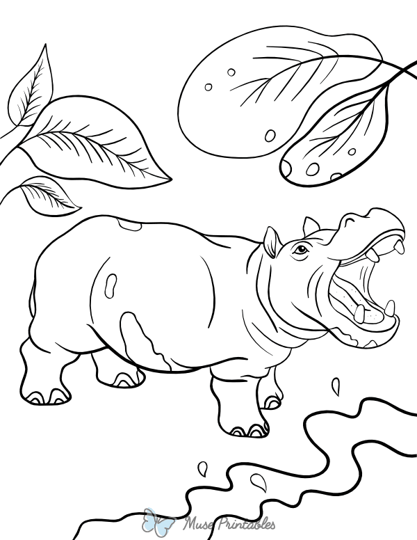 Hippopotamus Coloring Page