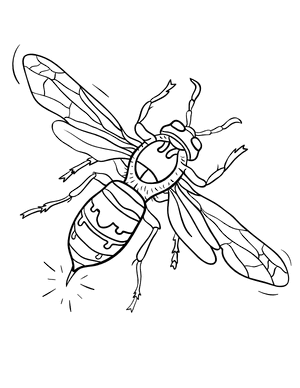 Hornet Coloring Page