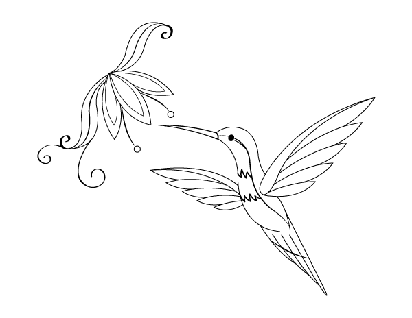 Humming Bird and Flower Coloring Page