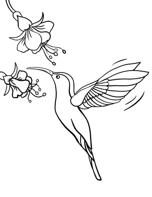 Hummingbird and Flowers Coloring Page