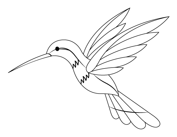 Download Printable Hummingbird Coloring Page
