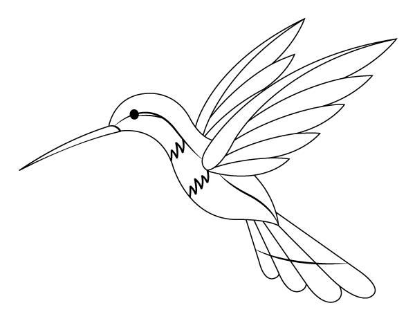 Hummingbird Coloring Pages