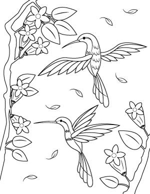 Hummingbirds Coloring Page