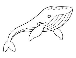 Humpback Whale Coloring Page