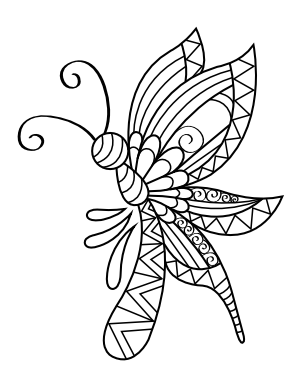 Intricate Butterfly Coloring Page