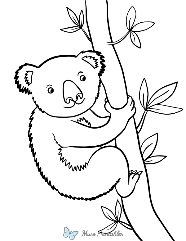 Koala Bear Climbing a Tree Coloring Page