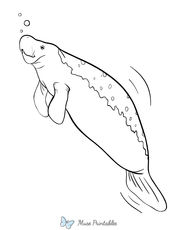 Manatee Coloring Page